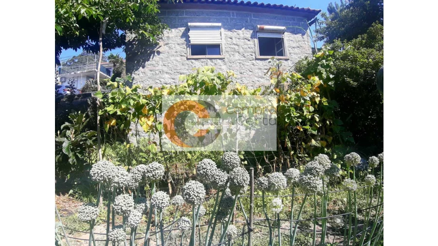 Moradia T3 para Venda em Pousada de Saramagos Foto 6