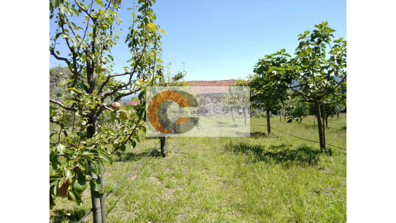 Quinta T0 para Venda em Abação e Gémeos Foto 17