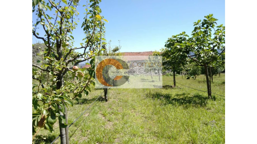 Quinta T0 para Venda em Abação e Gémeos Foto 17