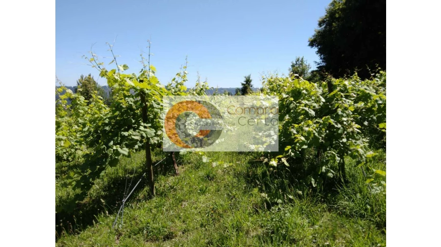 Quinta T0 para Venda em Abação e Gémeos Foto 15