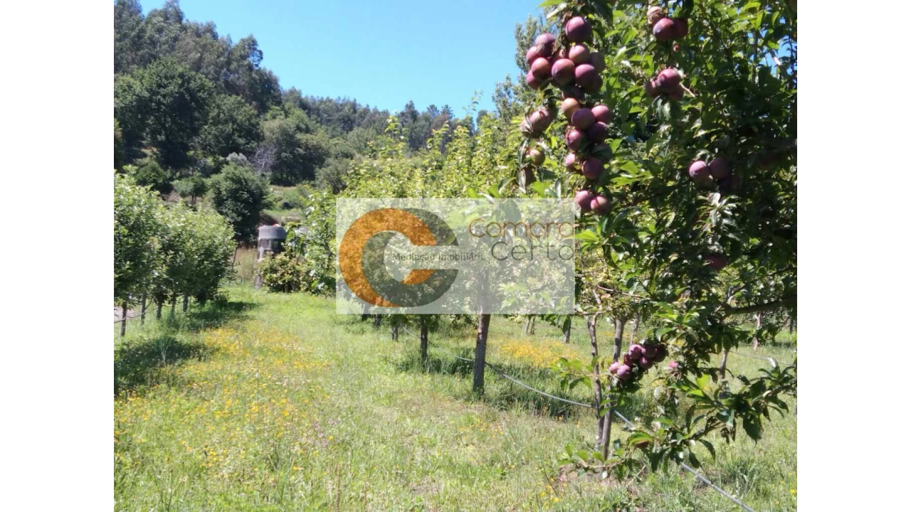 Quinta T0 para Venda em Abação e Gémeos Foto 14
