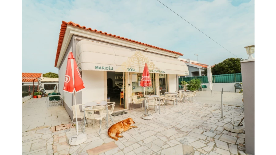 Negócio para Venda em Sesimbra (Castelo) Foto 10