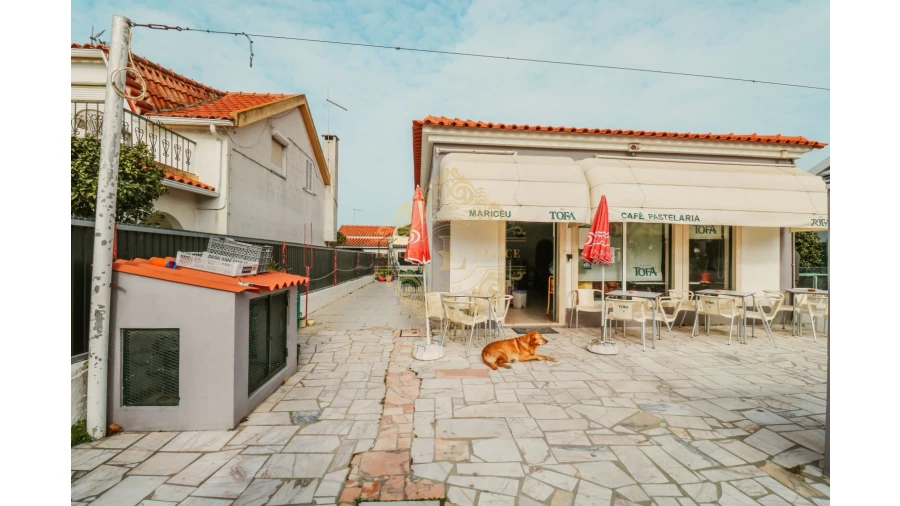 Negócio para Venda em Sesimbra (Castelo) Foto 9