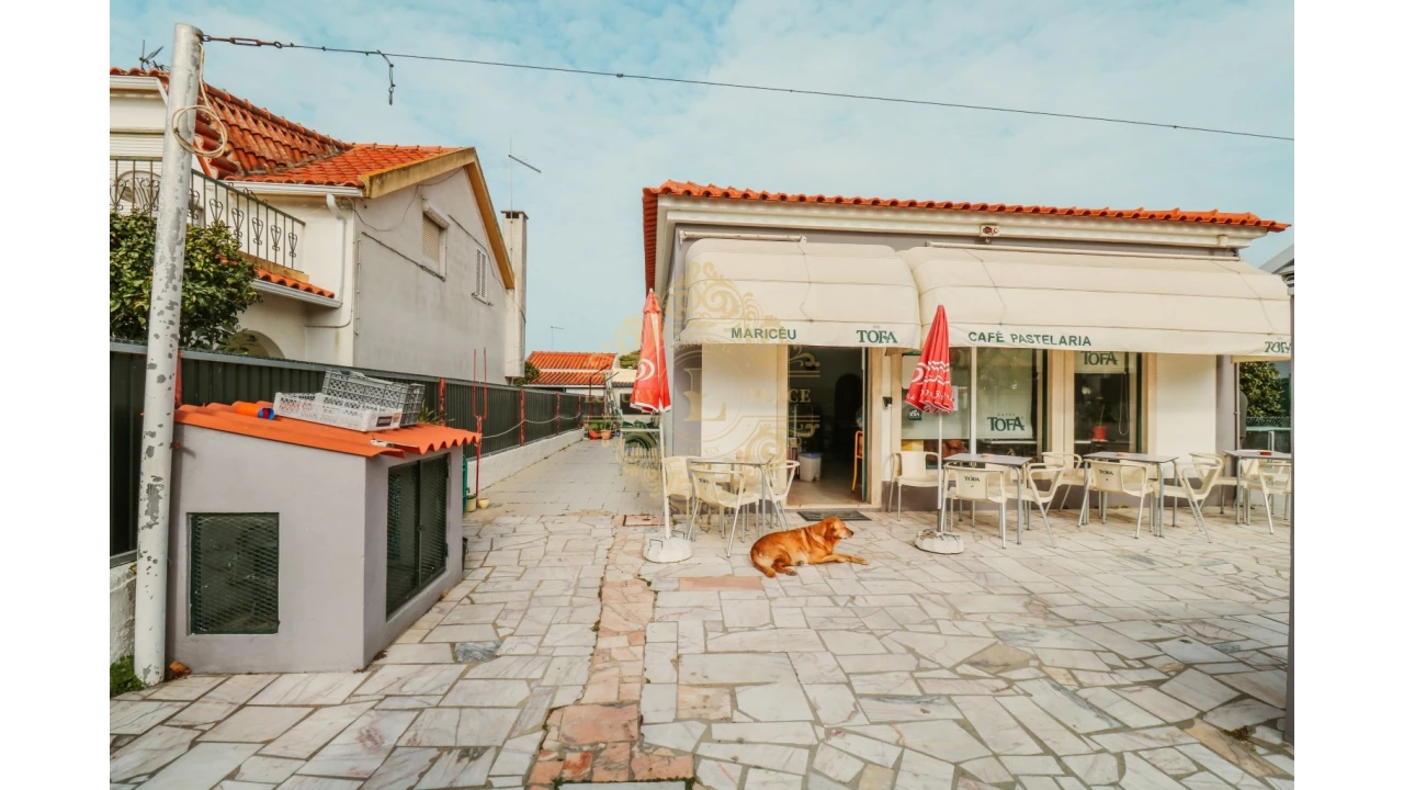 Negócio para Venda em Sesimbra (Castelo) Foto 9