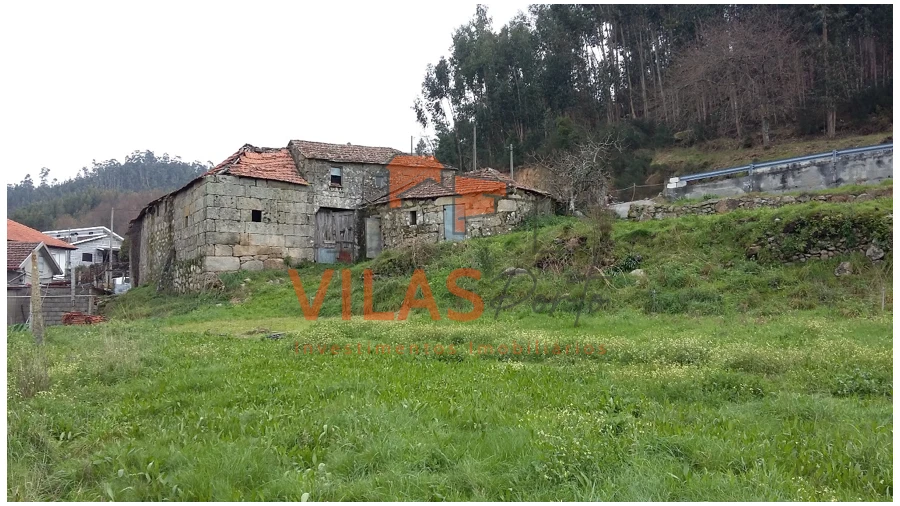 Quinta T5 para Venda em Perozelo Foto 4