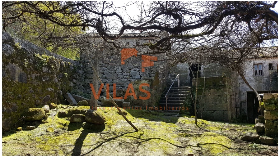 Quinta T5 para Venda em Perozelo Foto 5