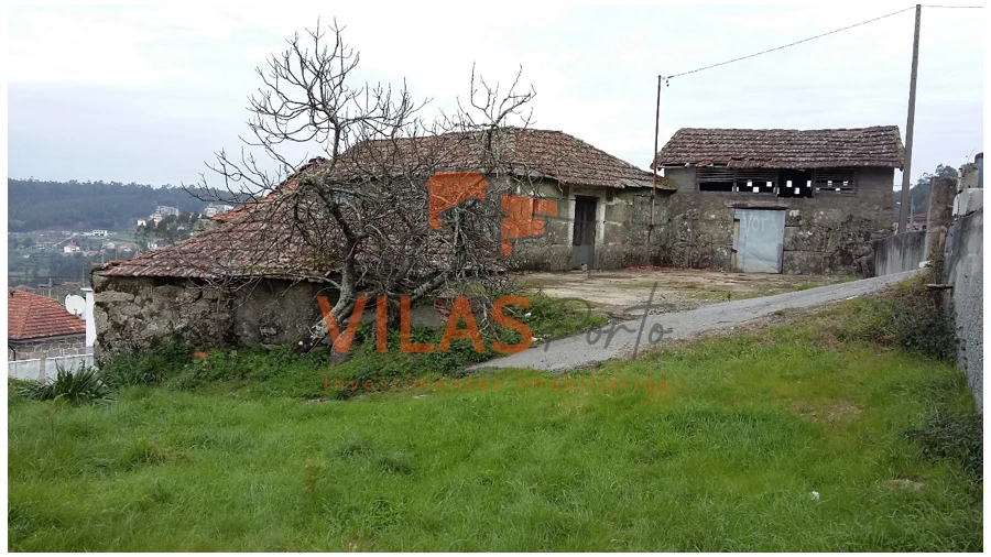 Quinta T5 para Venda em Perozelo Foto 3