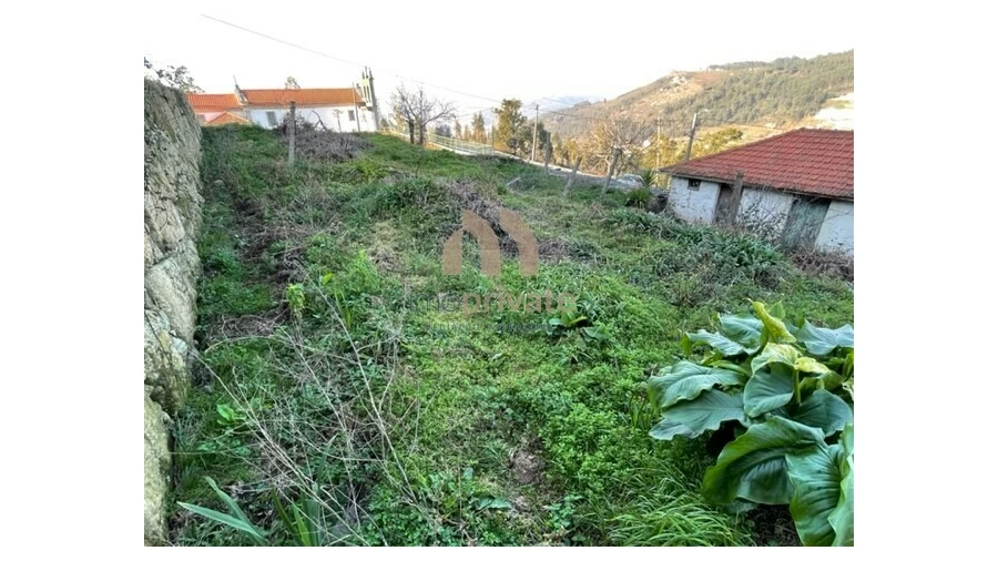 Quinta T1 para Venda em Lustosa e Barrosas (Santo Estêvão) Foto 6
