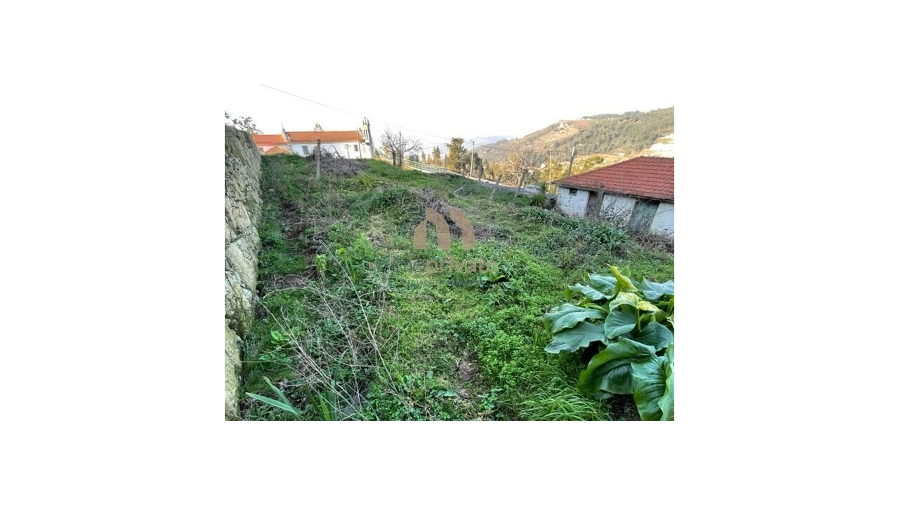 Quinta T1 para Venda em Lustosa e Barrosas (Santo Estêvão) Foto 6