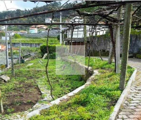 Moradia T3 para Venda em Roriz Foto 4