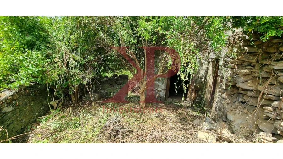 Quinta T6 para Venda em Vila Marim Foto 8