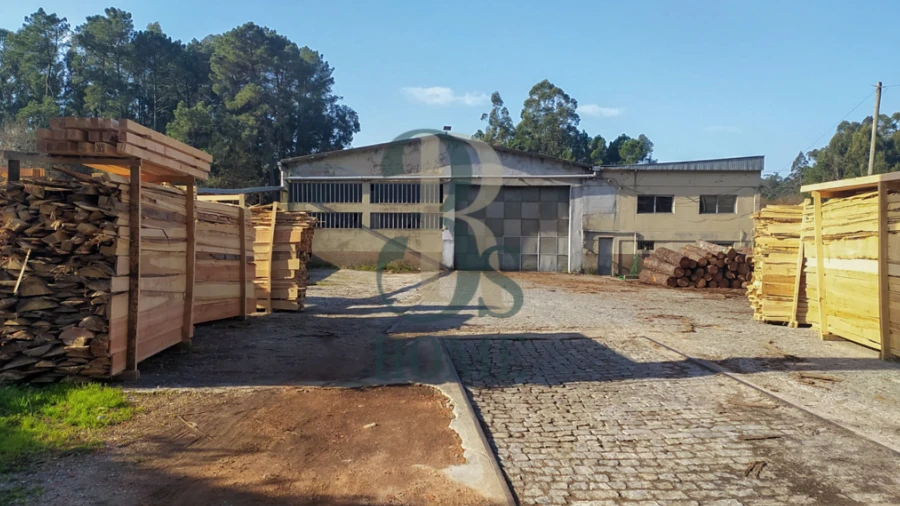 Armazém para Venda em Sanguedo