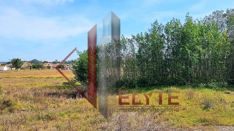 Moradia para Venda em Glória do Ribatejo e Granho