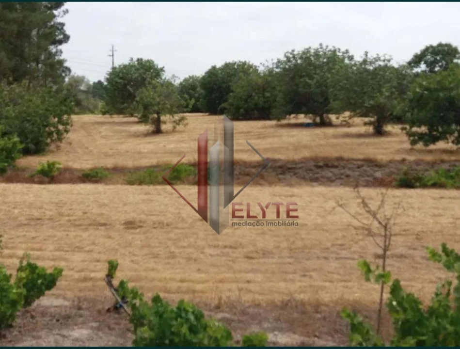 Quinta para Venda em Coruche, Fajarda e Erra Foto 1