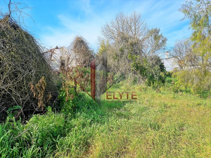 Terreno P/ Moradia para Venda em Glória do Ribatejo e Granho Foto 1