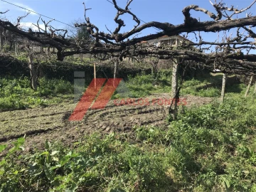 Terreno P/ Moradia para Venda em Rebordões