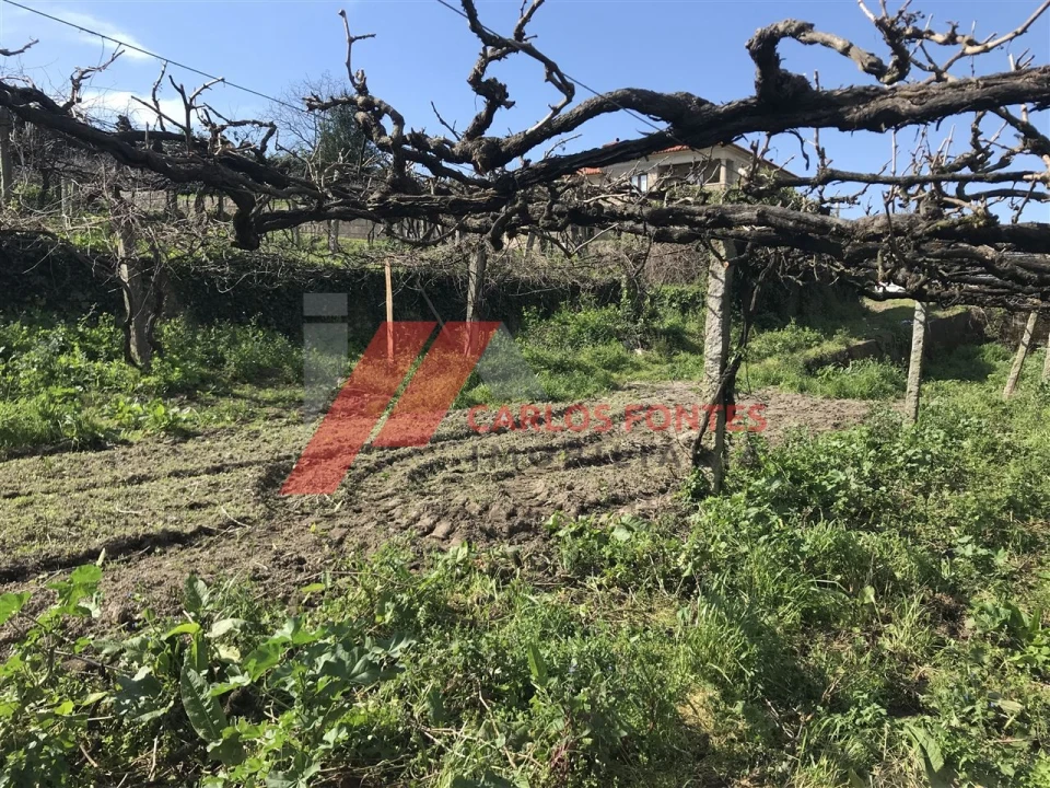 Terreno P/ Moradia para Venda em Rebordões Foto 1