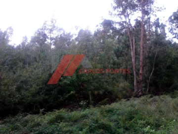 Terreno P/ Moradia para Venda em Arnoso (Santa Maria e Santa Eulália) e Sezures