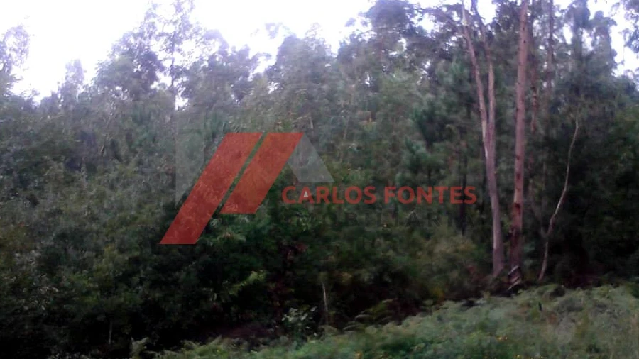Terreno P/ Moradia para Venda em Arnoso (Santa Maria e Santa Eulália) e Sezures