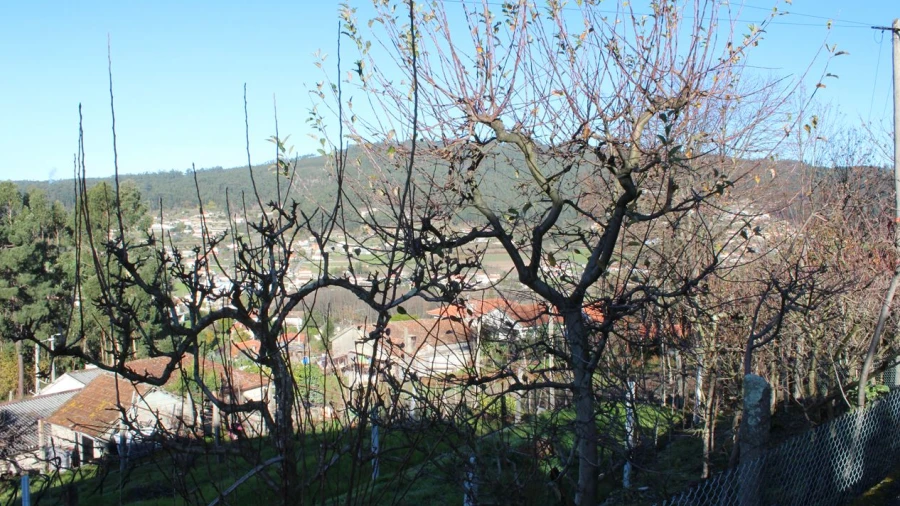 Terreno P/ Moradia para Venda em Vale (São Cosme), Telhado e Portela
