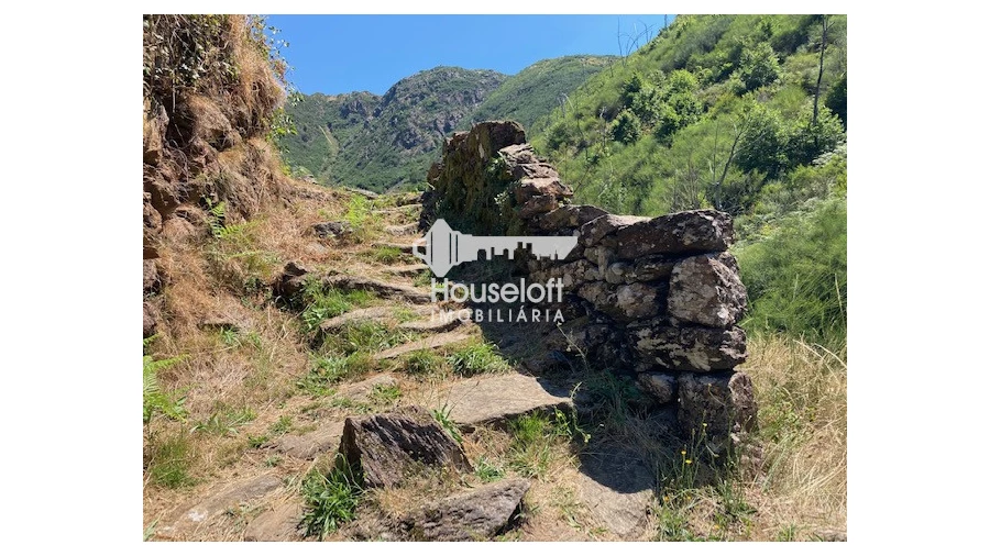 Quinta para Venda em Moldes