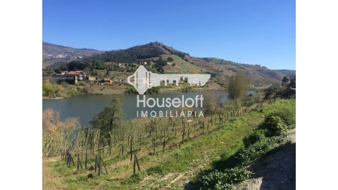 Quinta para Venda em Peso da Régua e Godim