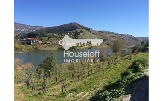 Quinta para Venda em Peso da Régua e Godim