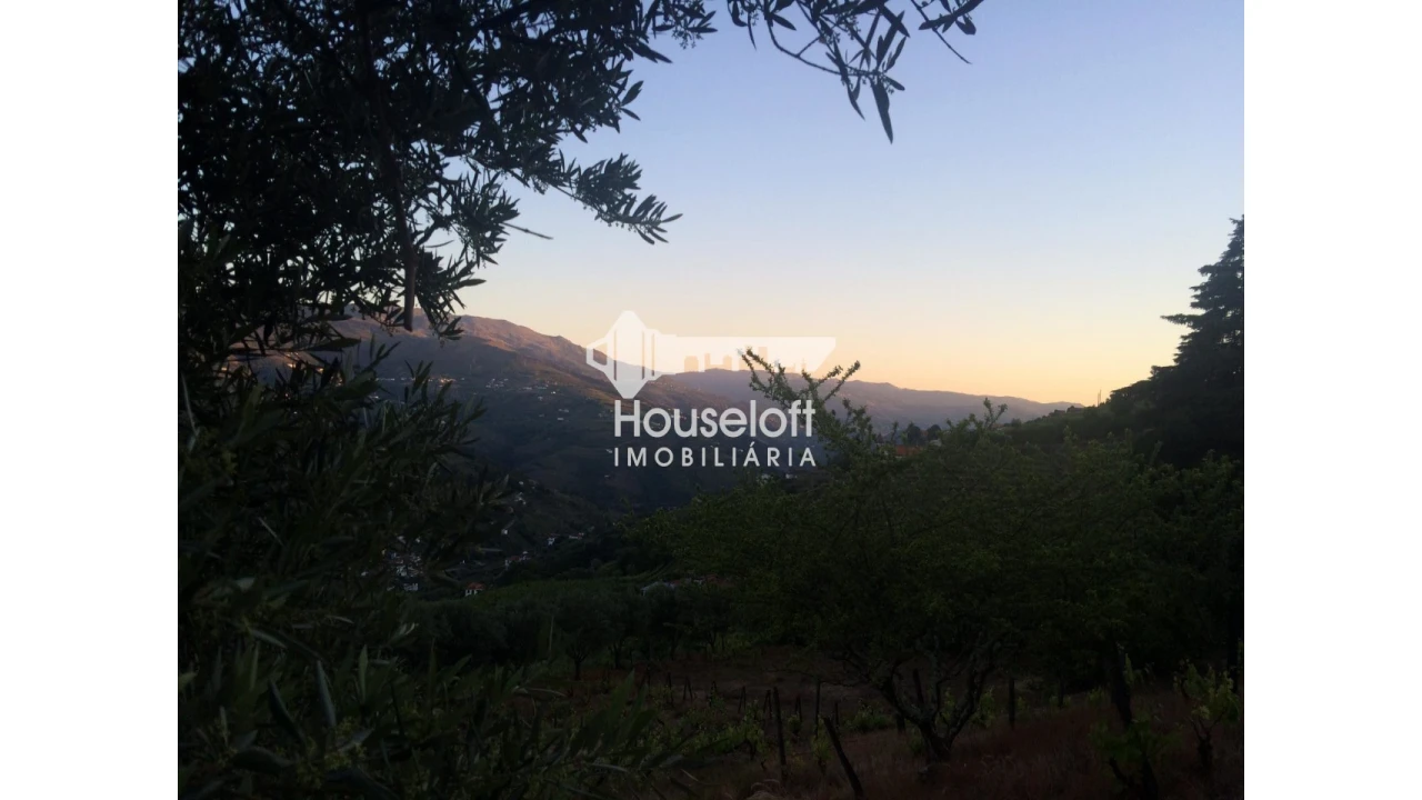 Quinta para Venda em Peso da Régua e Godim Foto 1