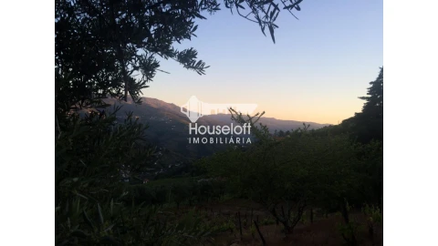 Quinta para Venda em Peso da Régua e Godim