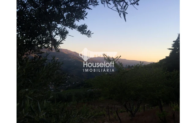 Quinta para Venda em Peso da Régua e Godim