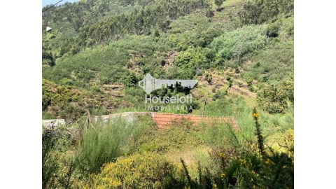 Terreno P/ Moradia para Venda em Moldes