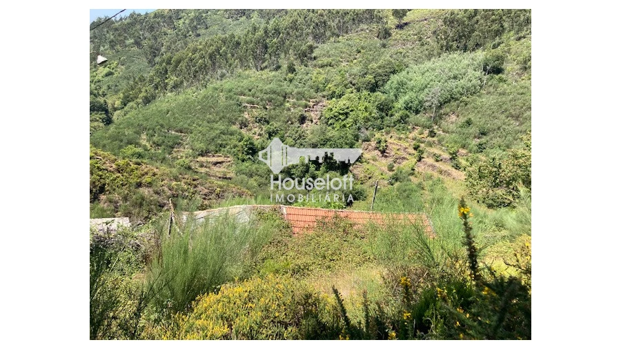 Terreno P/ Moradia para Venda em Moldes Foto 1