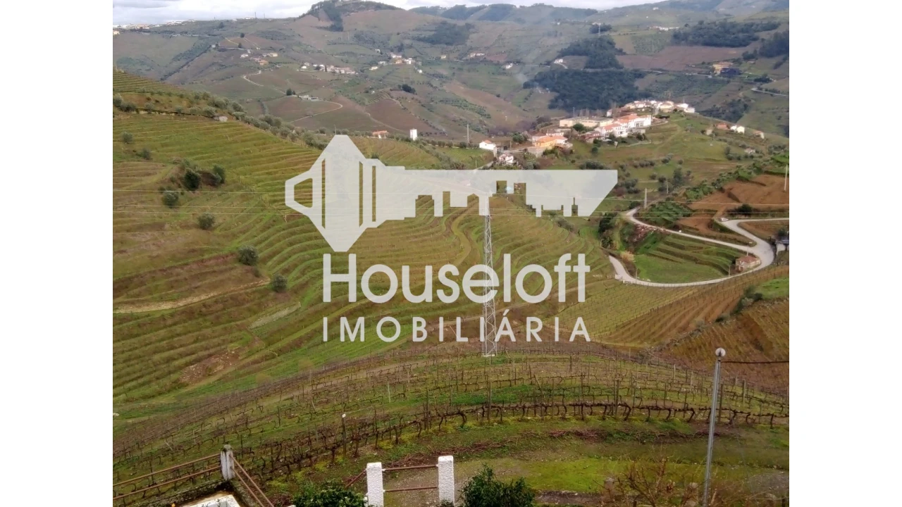 Quinta para Venda em Peso da Régua e Godim Foto 1