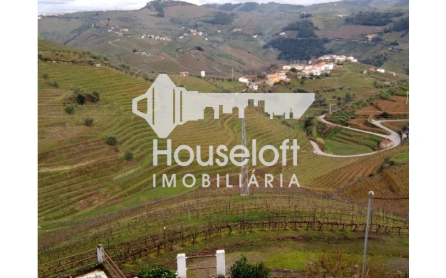 Quinta para Venda em Peso da Régua e Godim