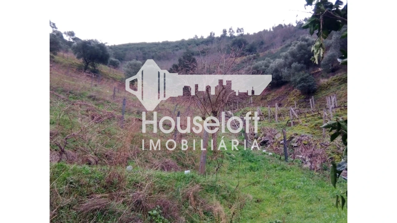Terreno P/ Moradia para Venda em Peso da Régua e Godim Foto 1