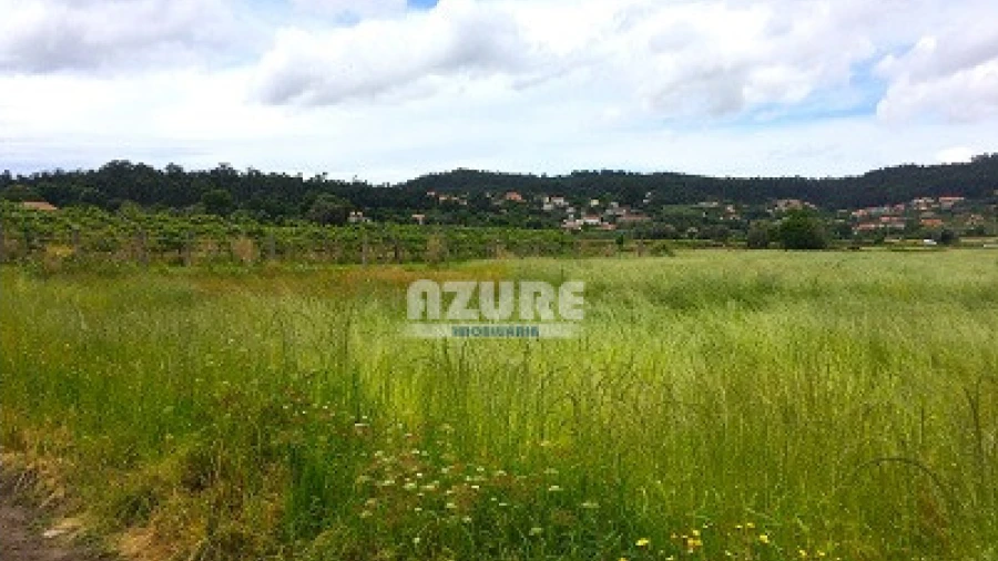 Terreno P/ Moradia para Venda em Palmeira de Faro e Curvos