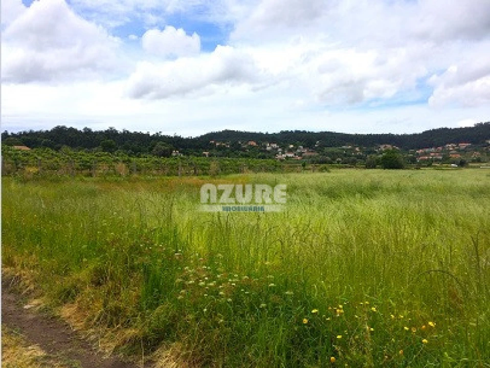 Terreno P/ Moradia para Venda em Palmeira de Faro e Curvos Foto 1