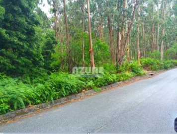 Quinta para Venda em Palmeira de Faro e Curvos