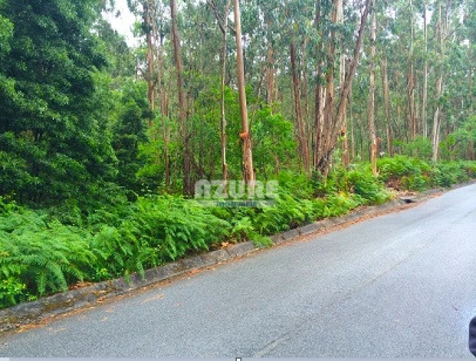 Quinta para Venda em Palmeira de Faro e Curvos Foto 1