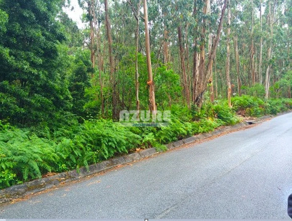 Quinta para Venda em Palmeira de Faro e Curvos Foto 1