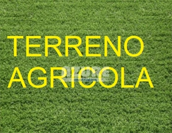 Terreno P/ Moradia para Venda em Antas