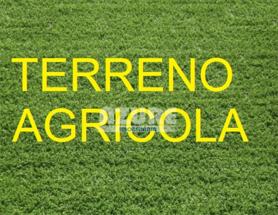 Terreno P/ Moradia para Venda em Antas Foto 1