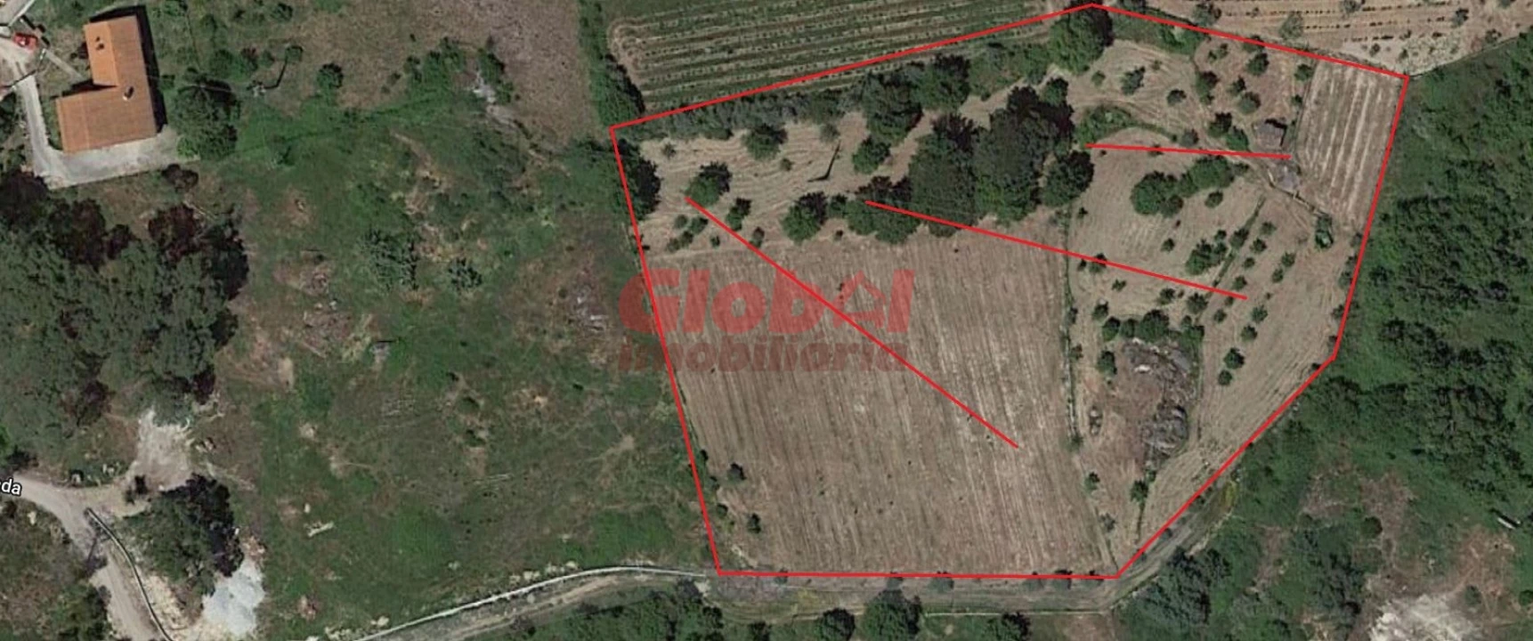 Terreno Agricola ou Rústico para Venda em São João de Lourosa Foto 1