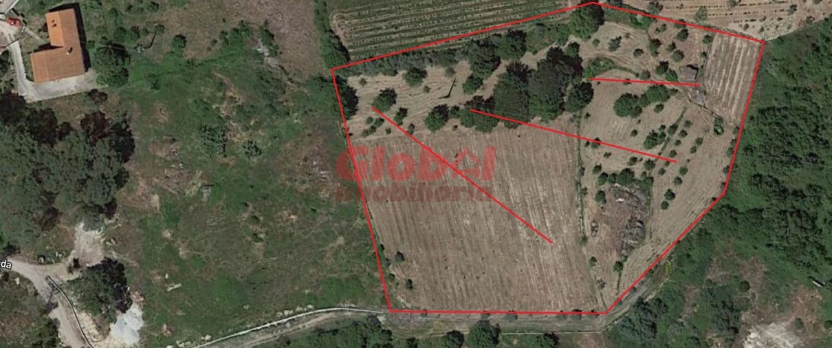 Terreno Agricola ou Rústico para Venda em São João de Lourosa Foto 1