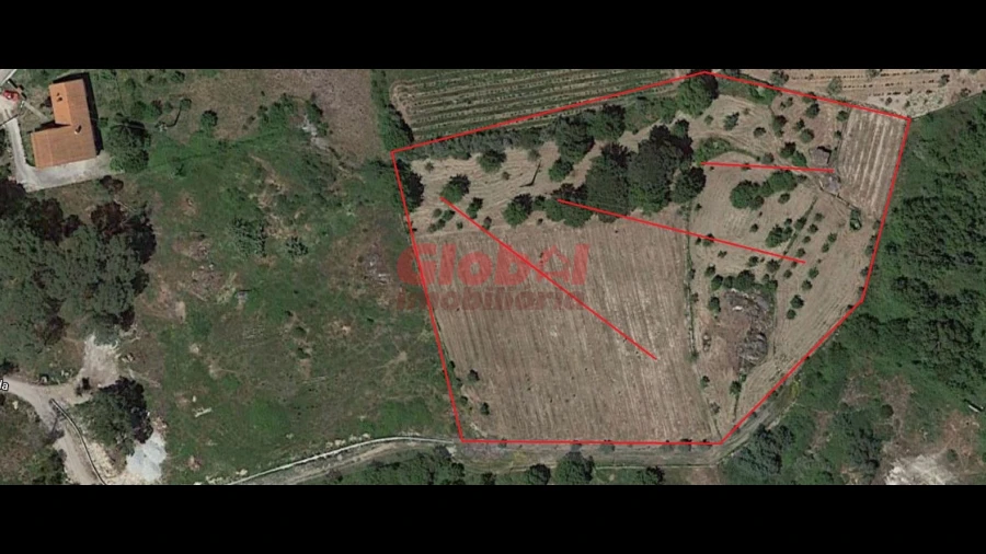 Terreno Agricola ou Rústico para Venda em São João de Lourosa