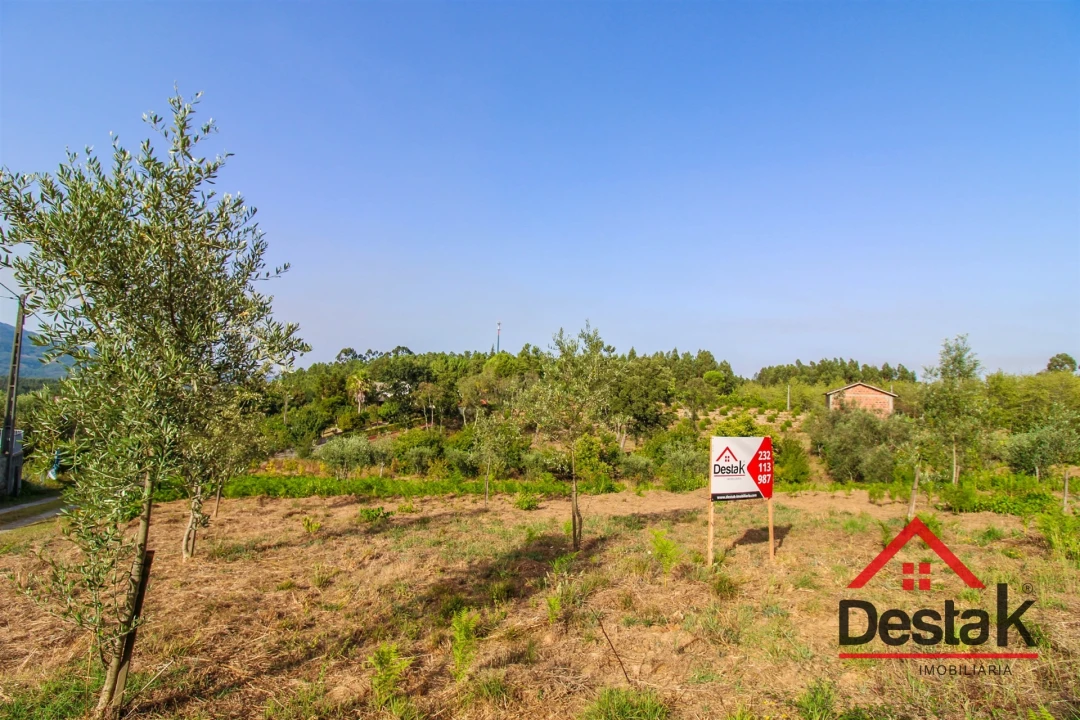 Terreno Agricola ou Rústico para Venda em Barreiro de Besteiros e Tourigo Foto 3