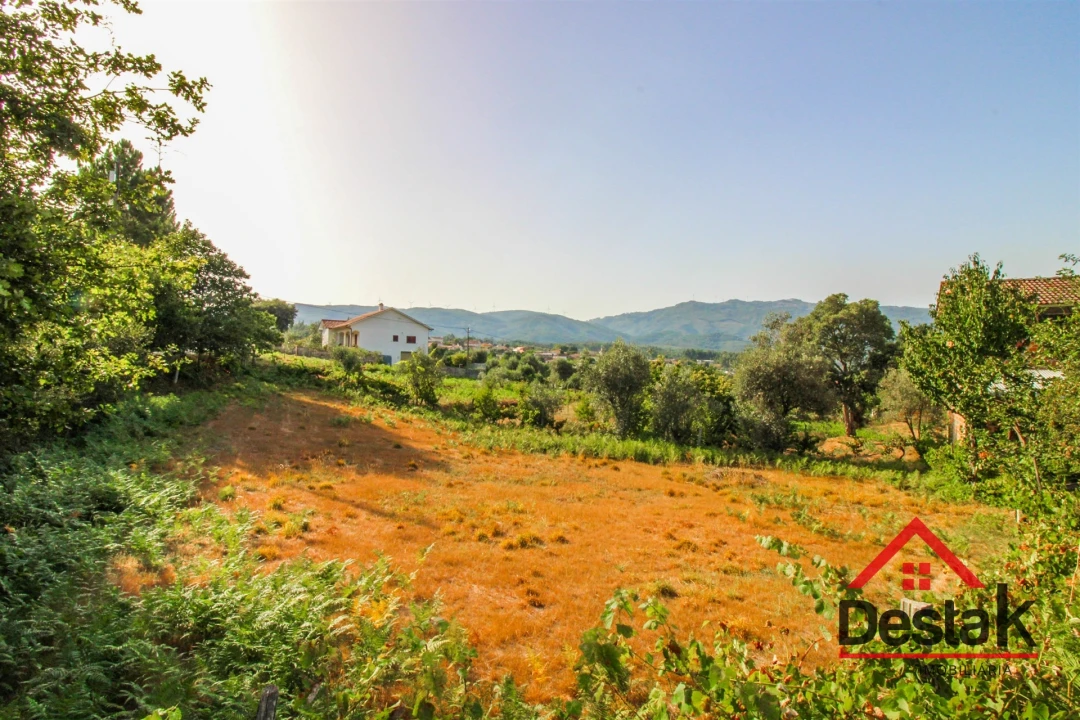 Terreno Agricola ou Rústico para Venda em Barreiro de Besteiros e Tourigo Foto 7