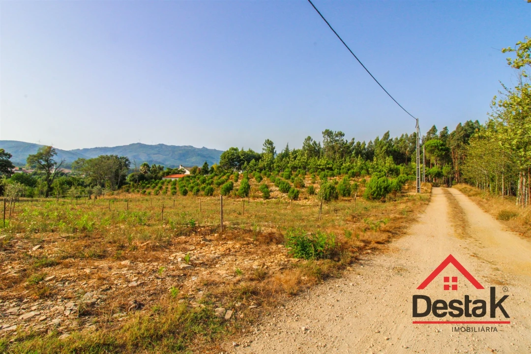 Terreno Agricola ou Rústico para Venda em Barreiro de Besteiros e Tourigo Foto 6