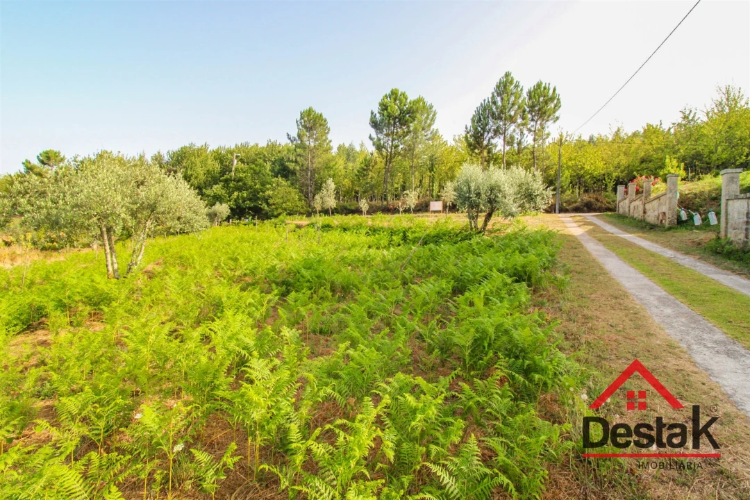 Terreno Agricola ou Rústico para Venda em Barreiro de Besteiros e Tourigo Foto 11