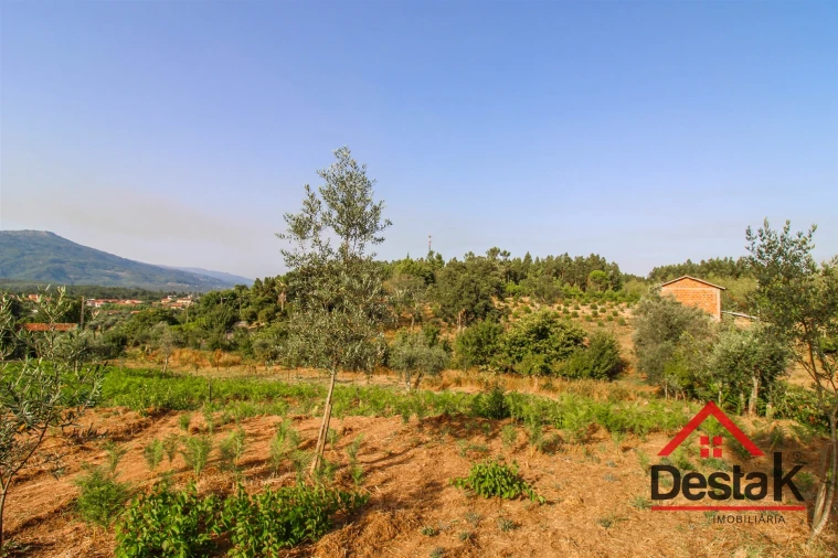 Terreno Agricola ou Rústico para Venda em Barreiro de Besteiros e Tourigo Foto 5